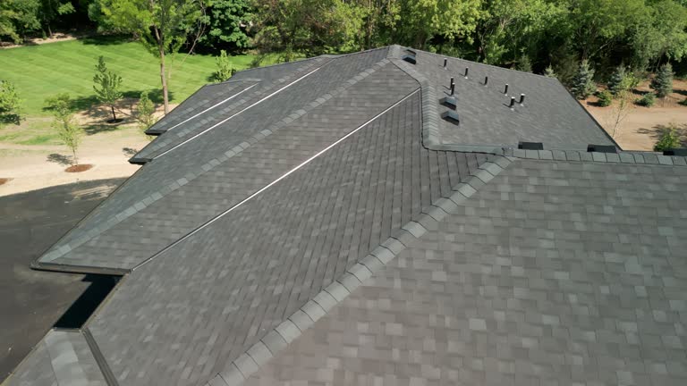 Asphalt Shingles Roofing in Genoa, IL