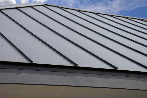 Best Sheet Metal Roofing  in Genoa, IL