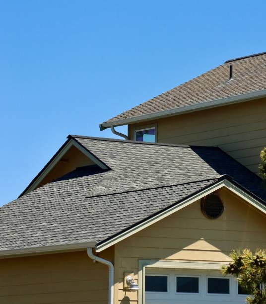 Best Skylight Installation and Repair  in Genoa, IL
